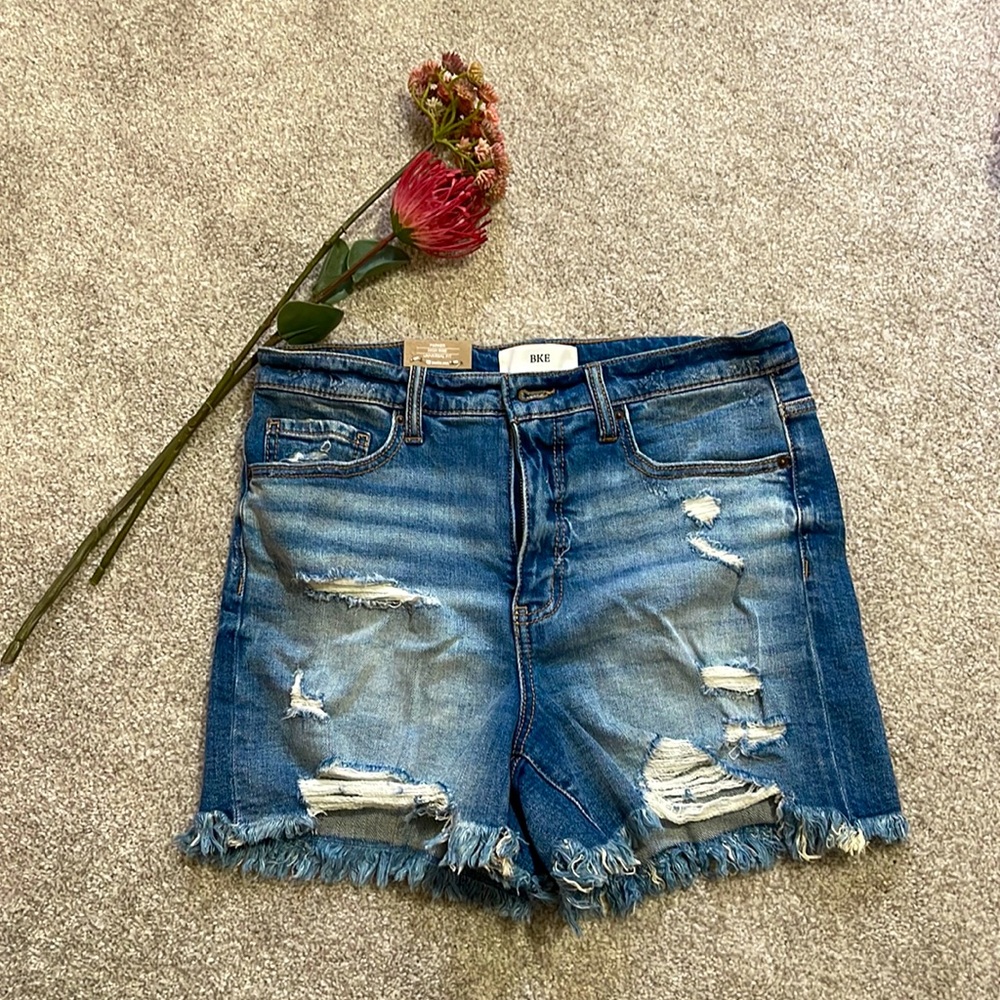 BKE Parker shorts